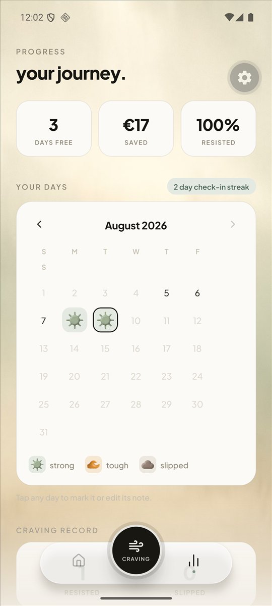 The progress calendar